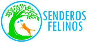 Senderos felinos